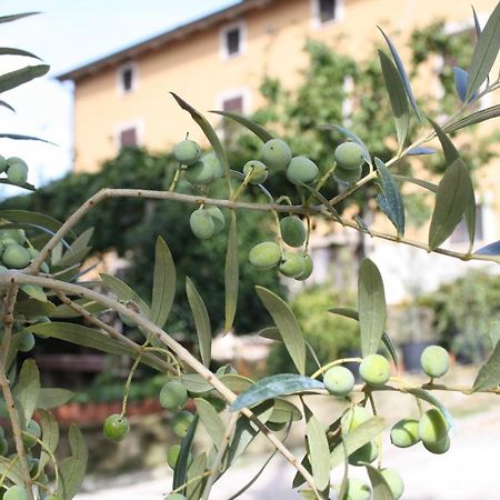 B&B Al Frantoio Chiusi Exterior foto