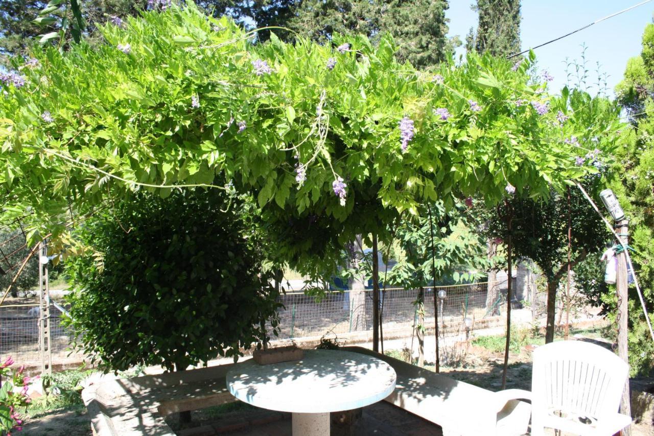 B&B Al Frantoio Chiusi Exterior foto